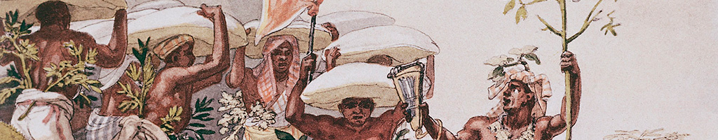 Brasil: uma democracia racial?
