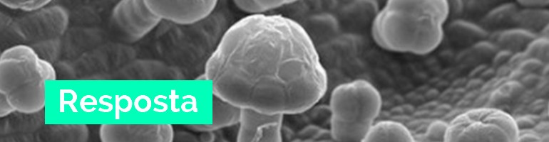 Resposta: Mundo Microscópico